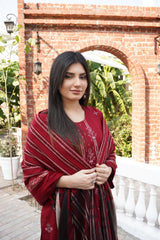 Chamki Dhanak Full Heavy Embroidered 3-Piece Suit