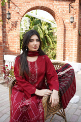 Chamki Dhanak Full Heavy Embroidered 3-Piece Suit