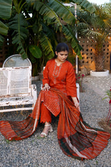 Chamki Dhanak Full Heavy Embroidered 3-Piece Suit